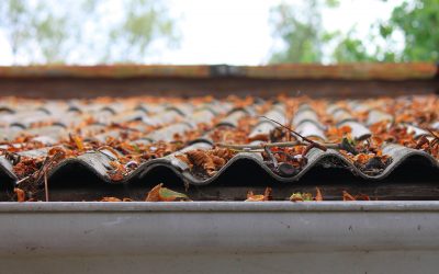 How to Choose the Right Contractor for Your Roof Replacement Project